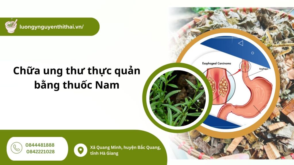 chua-ung-thu-thuc-quan-bang-thuoc-nam