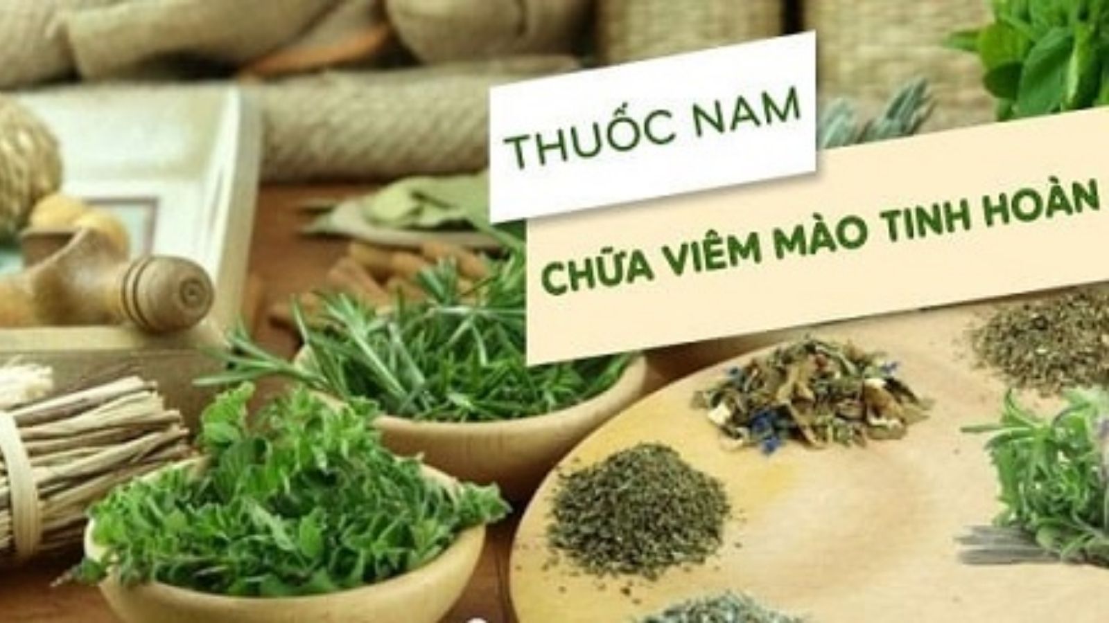 thuoc-nam-chua-vien-mao-tinh-hoan