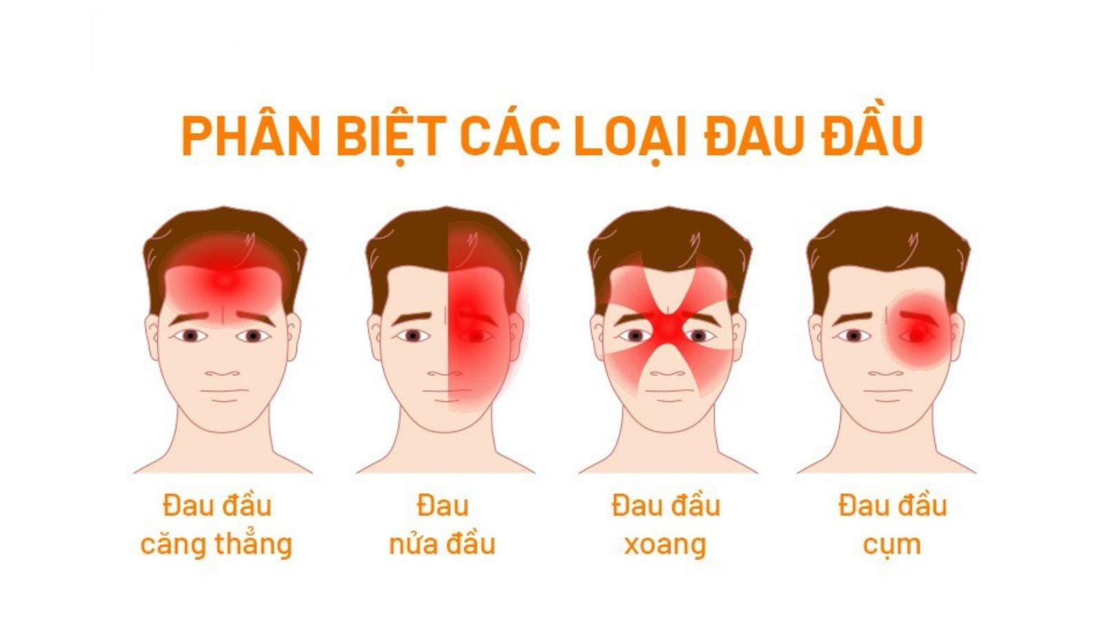 thuoc-nam-chua-dau-dau