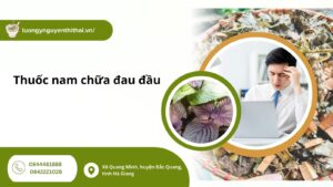 thuoc-nam-chua-dau-dau