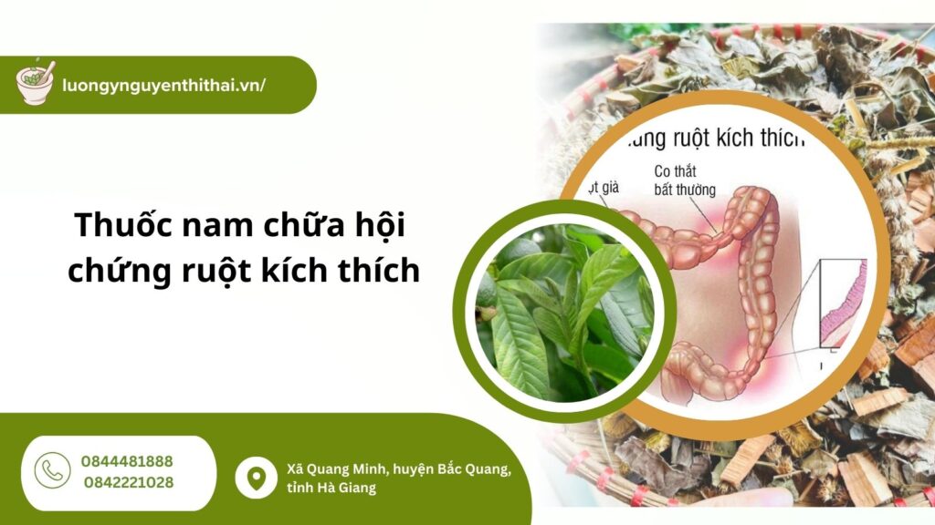 thuoc-nam-chua-hoi-chung-ruot-kich-thich