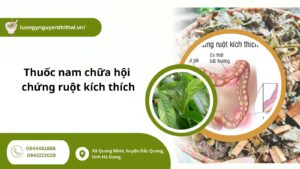 thuoc-nam-chua-hoi-chung-ruot-kich-thich