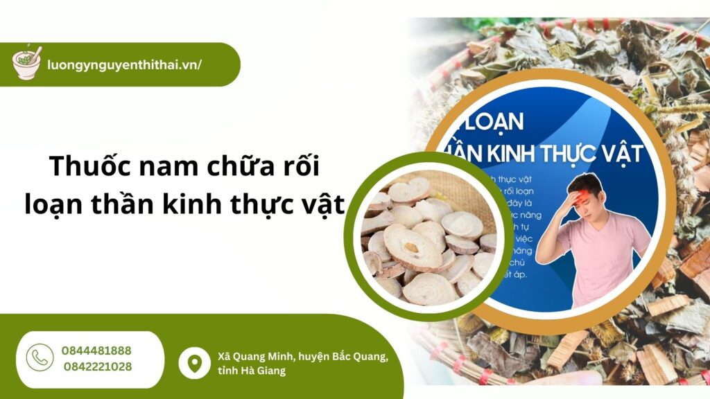 thuoc-nam-chua-roi-loan-than-kinh-thuc-vat