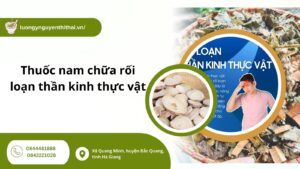 thuoc-nam-chua-roi-loan-than-kinh-thuc-vat