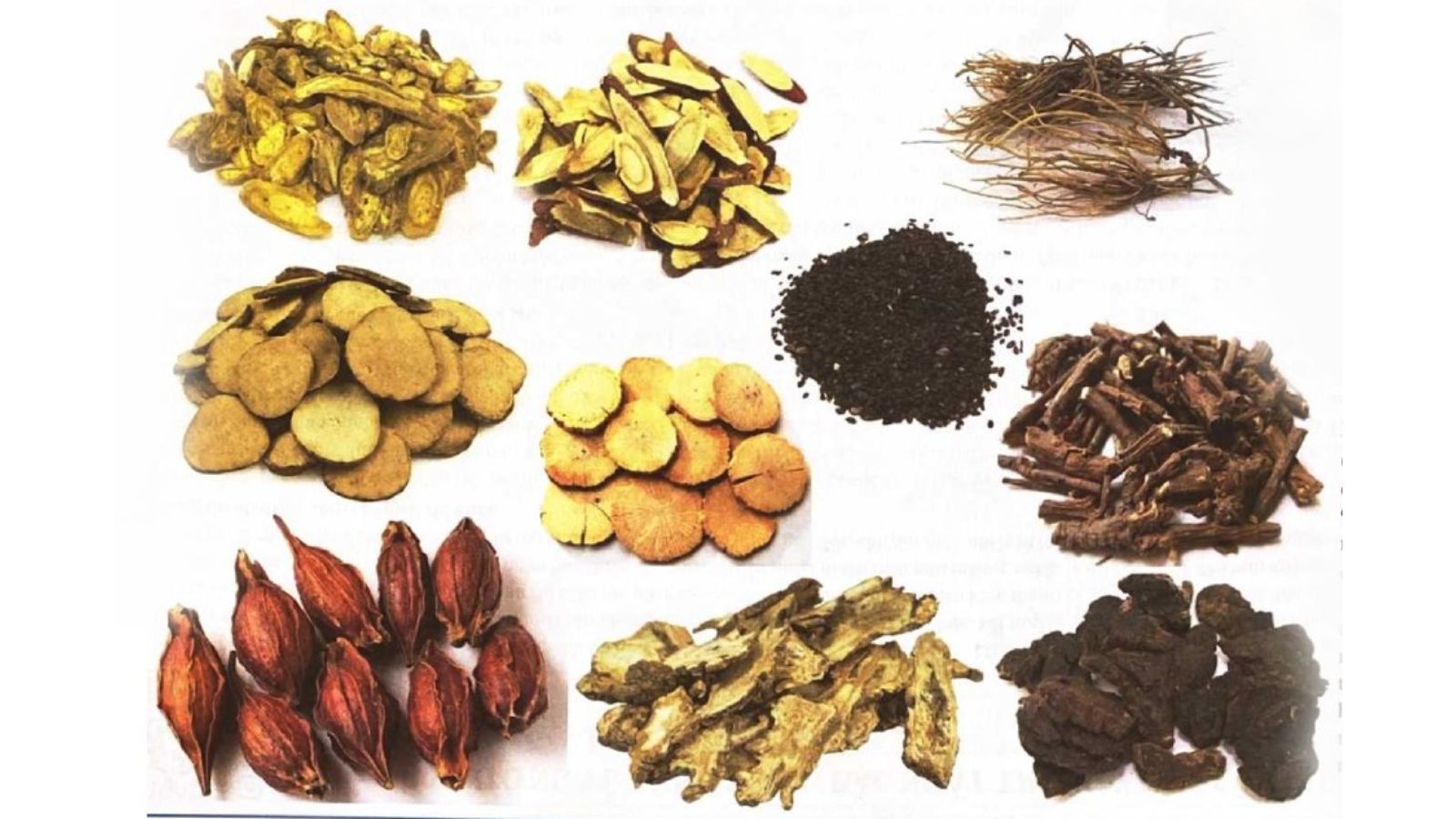 thuoc-nam-chua-vien-mao-tinh-hoan