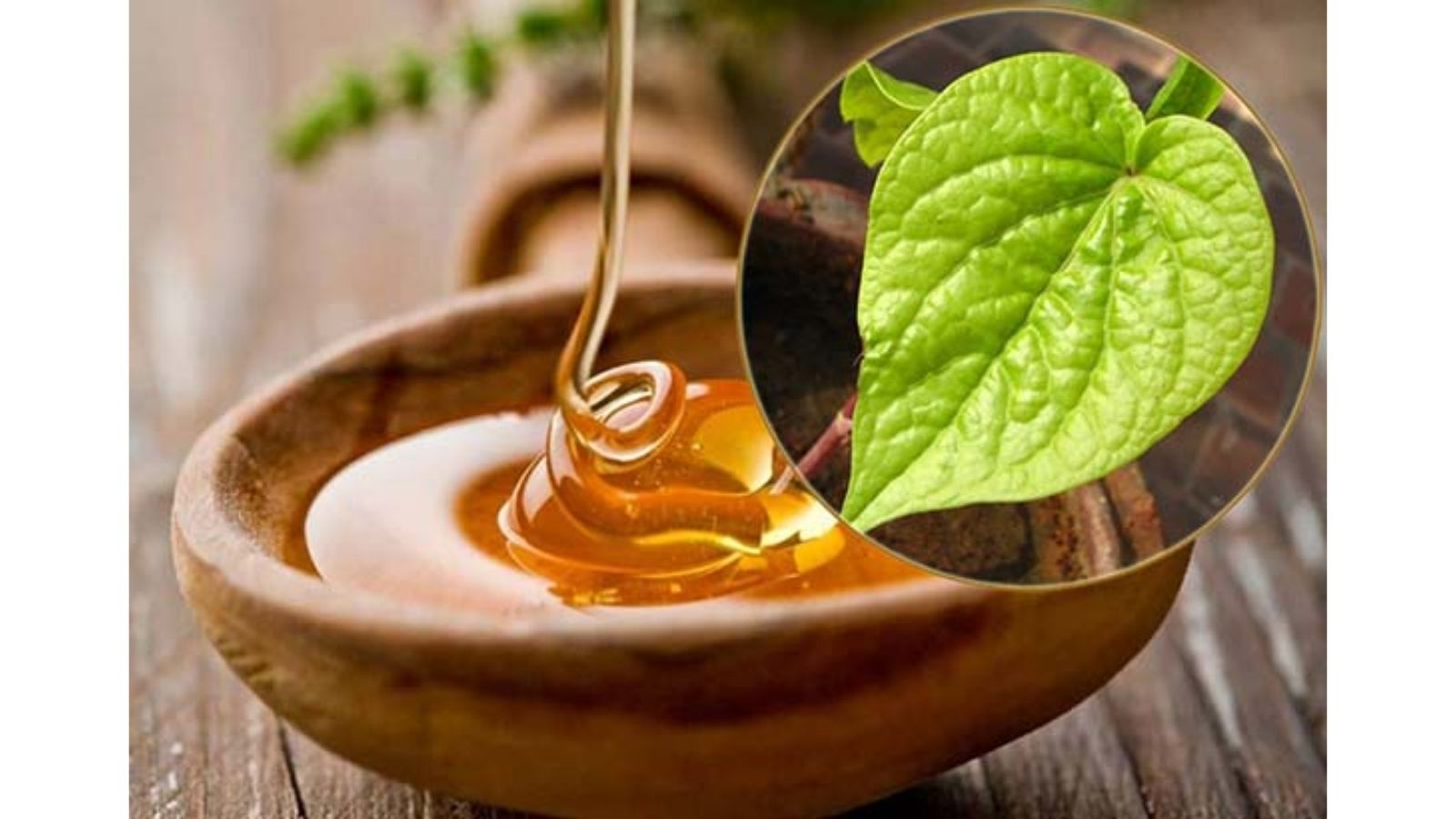 thuoc-nam-chua-vien-mao-tinh-hoan