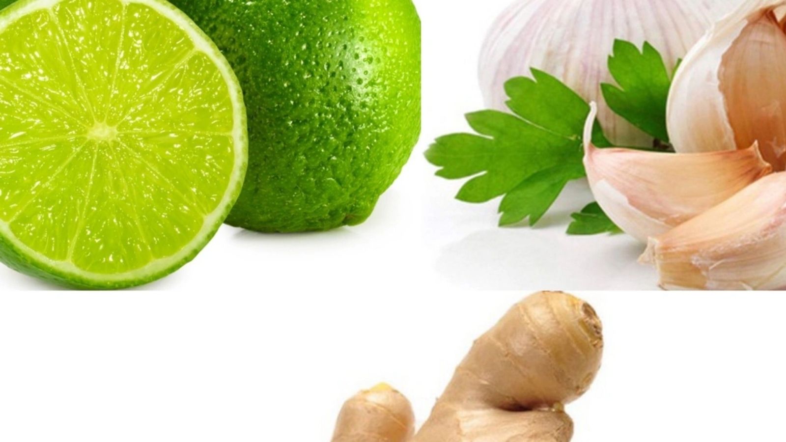 thuoc-nam-dieu-tri-mo-mau-cao