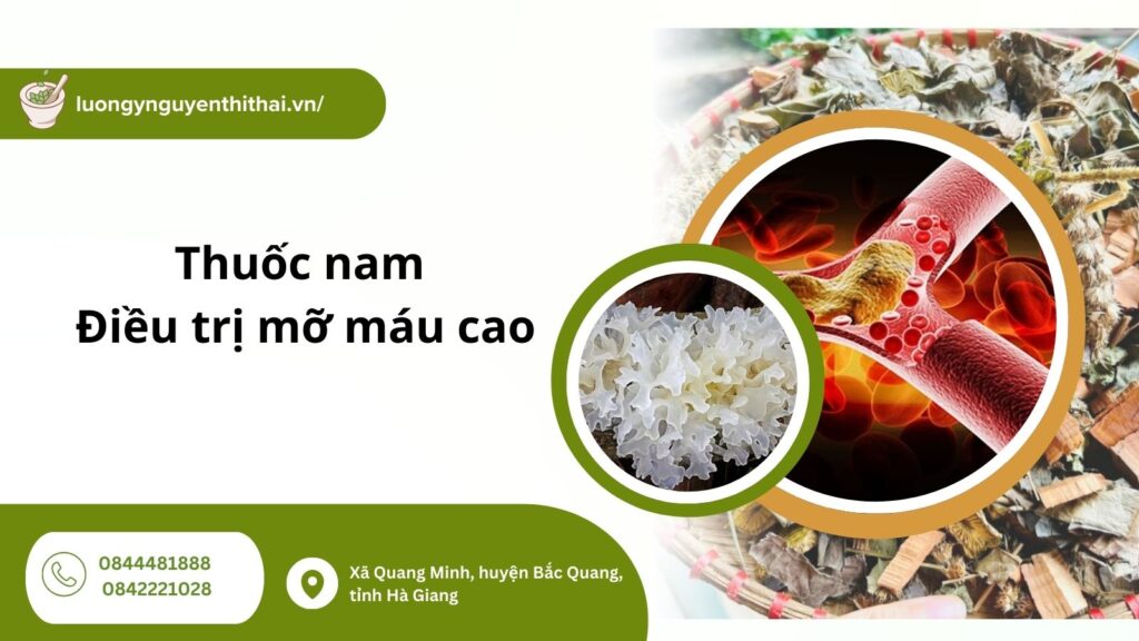 thuoc-nam-dieu-tri-mo-mau-cao
