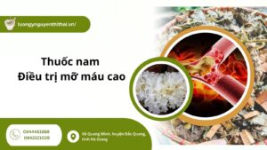 thuoc-nam-dieu-tri-mo-mau-cao