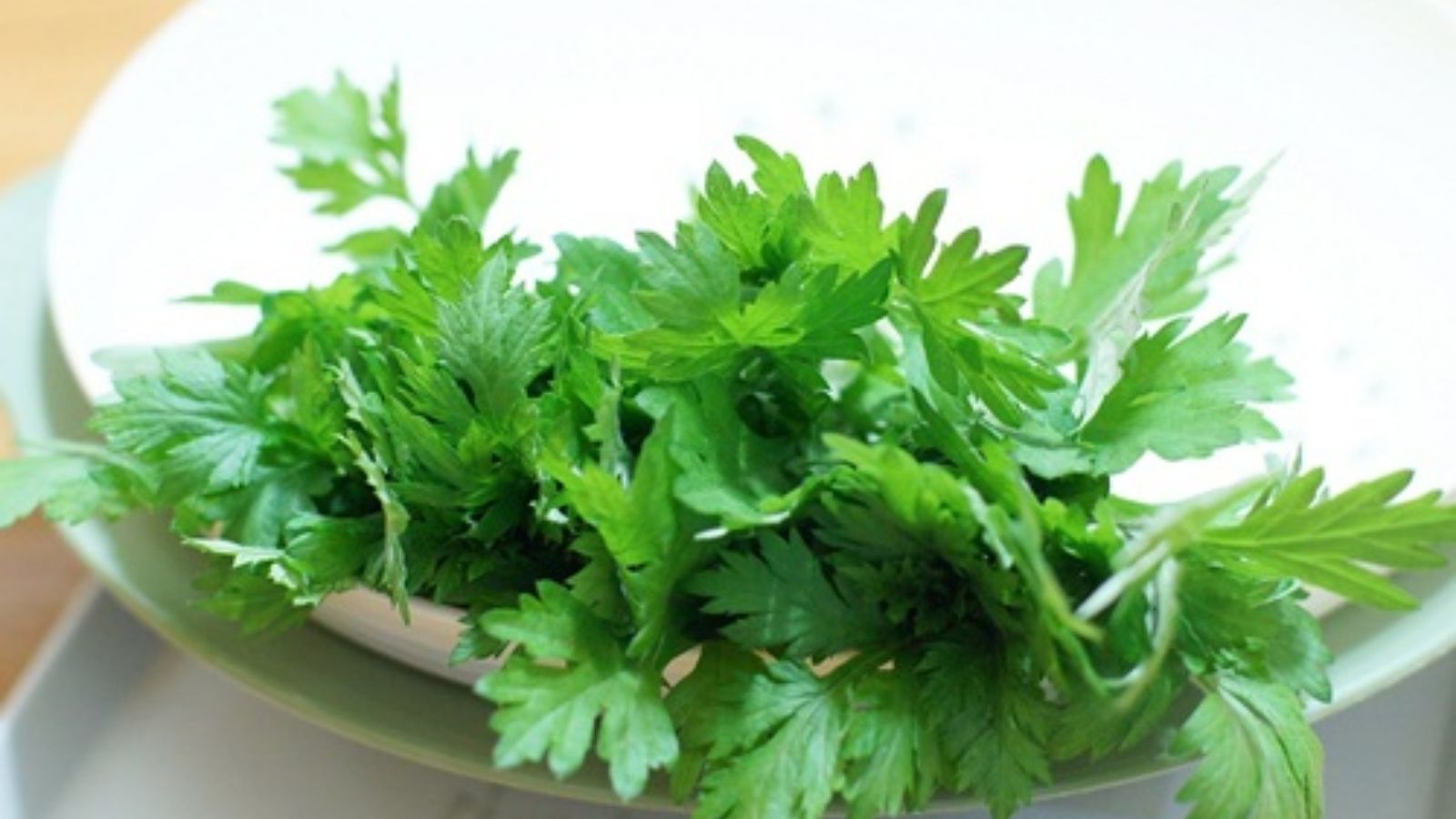 thuoc-nam-giam-mo-bung