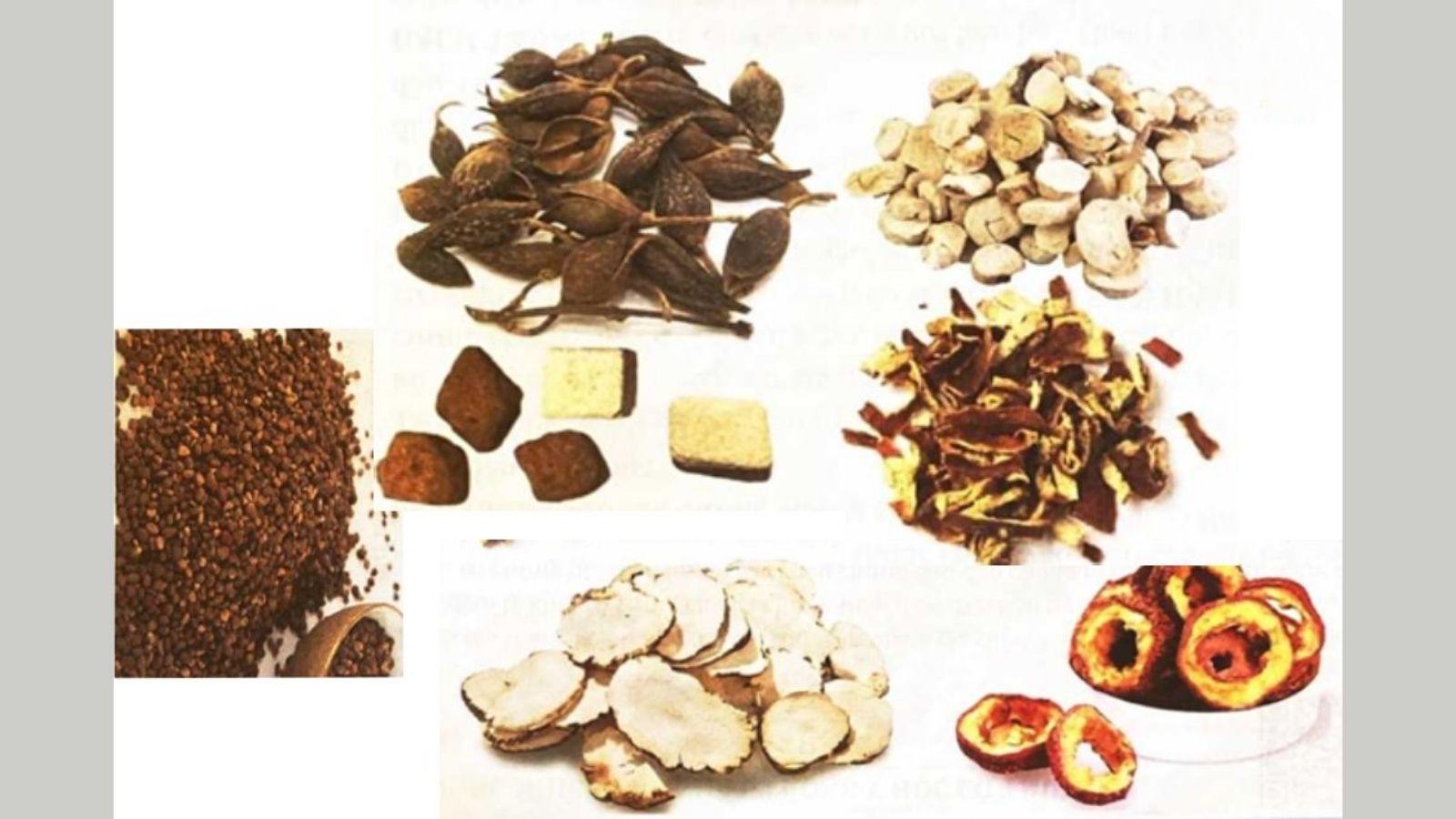 thuoc-nam-giam-mo-bung