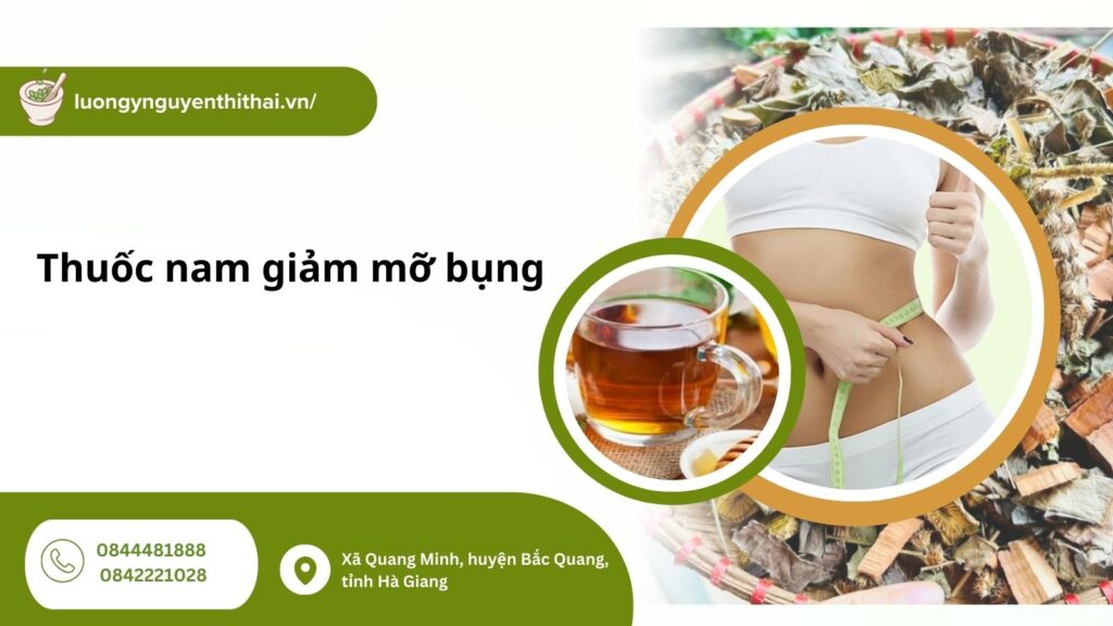 thuoc-nam-giam-mo-bung