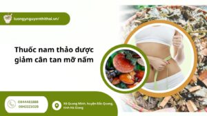 thuoc-nam-thao-duoc-giam-can-tan-mo-nam