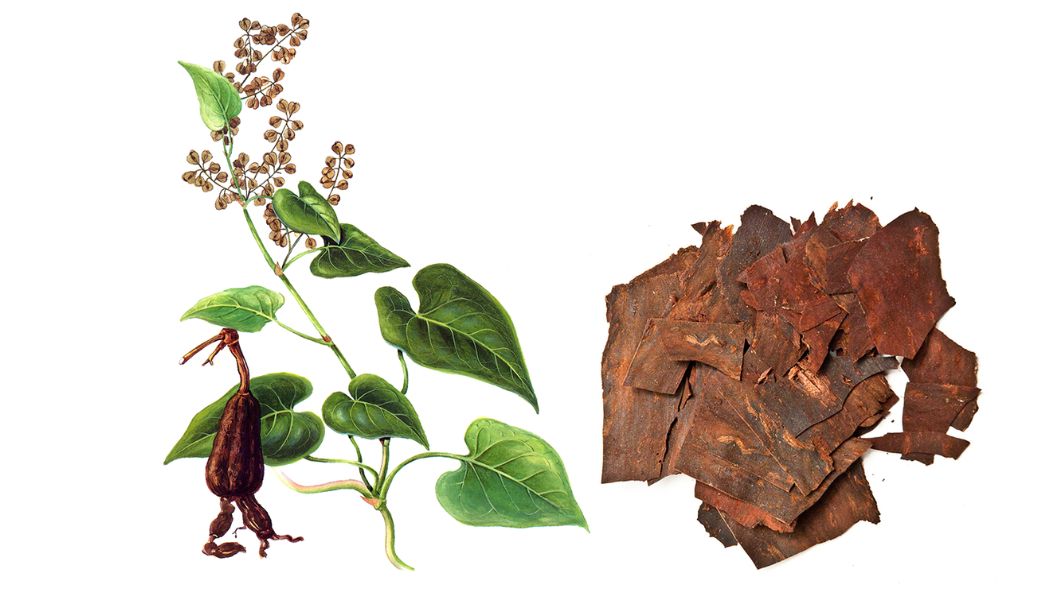 bai-thuoc-dan-gian-chua-thieu-mau-nao