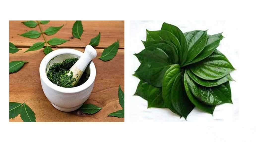 bai-thuoc-dan-gian-tri-ap-xe-hau-mon