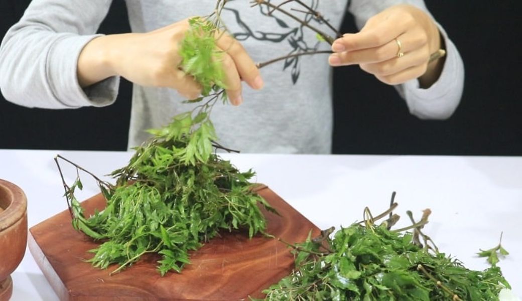 bai-thuoc-dan-gian-tri-ap-xe-hau-mon