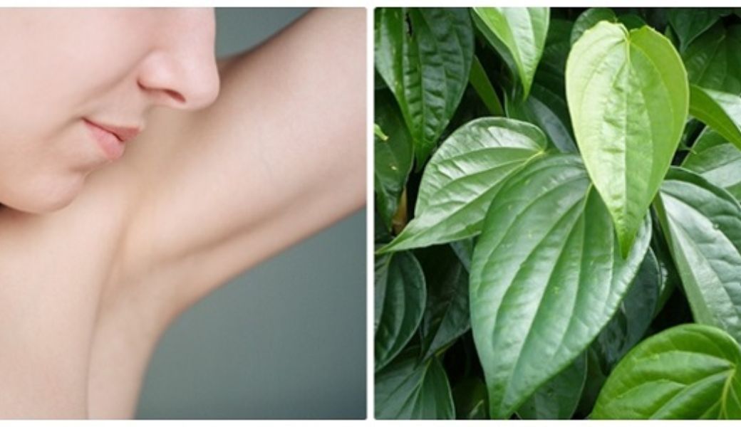 bai-thuoc-dan-gian-tri-hoi-nach