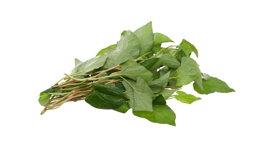 cay-thuoc-nam-chua-nhiet-mieng