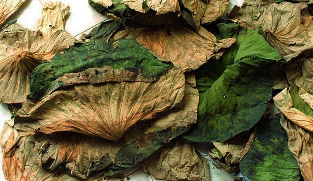 chua-viem-tuy-bang-thuoc-nam