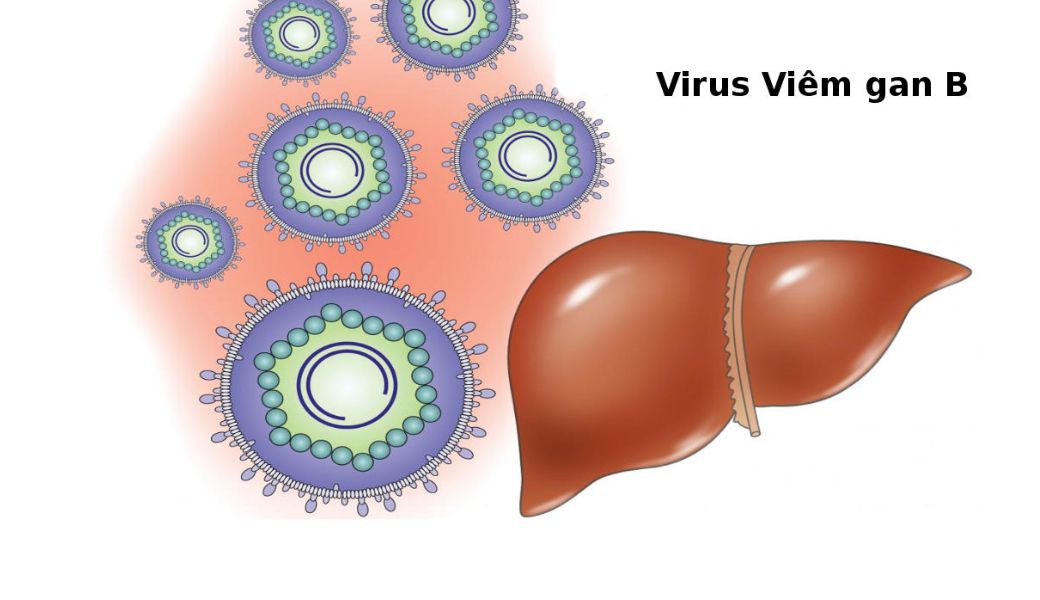 thuoc-nam-co-chua-duoc-viem-gan-b-khong
