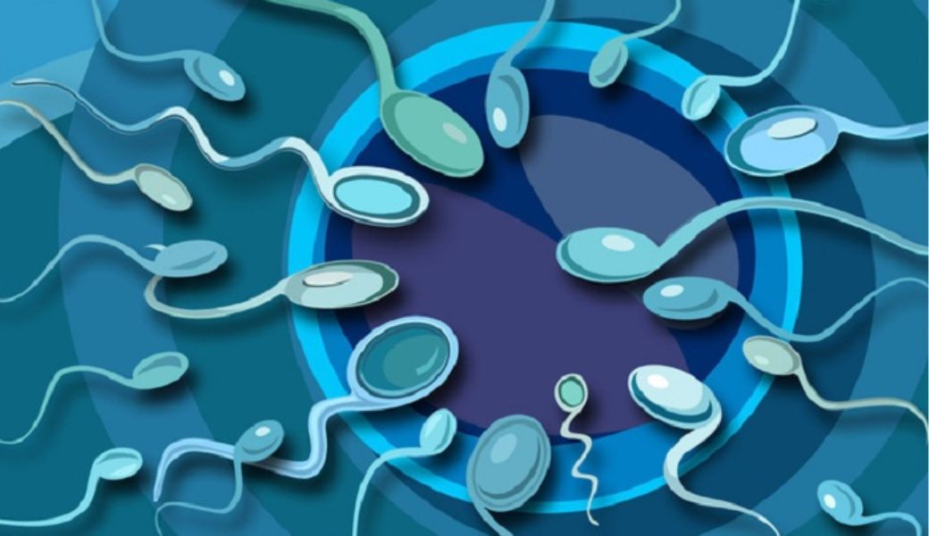 chua-vo-sinh-thu-phat