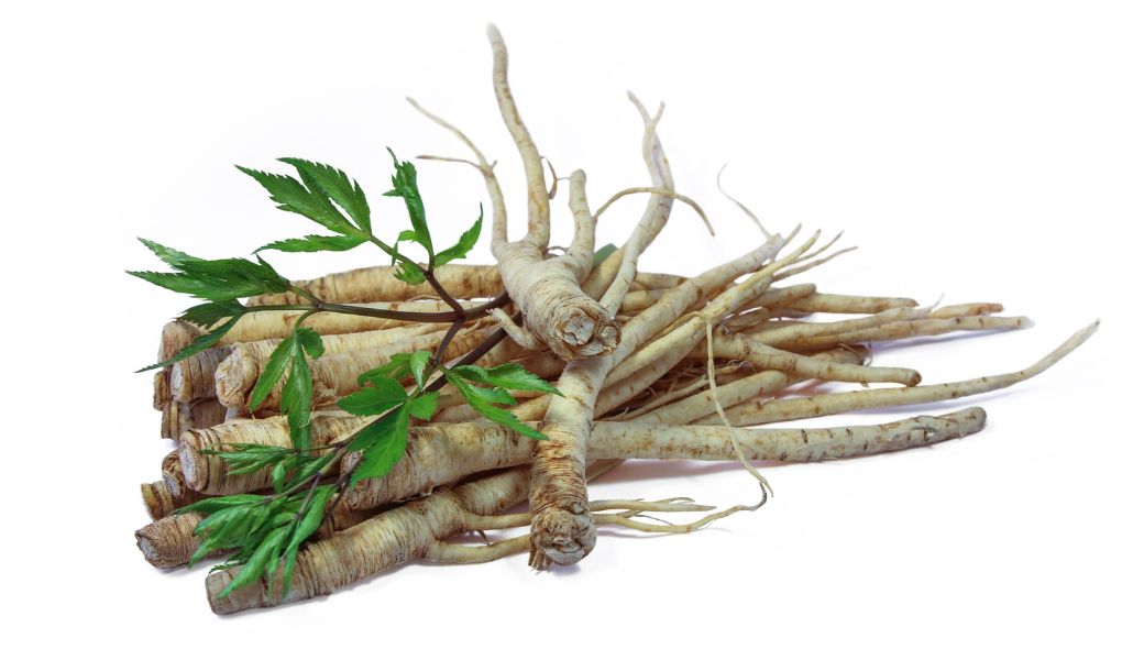 cay-thuoc-nam-bo-mau