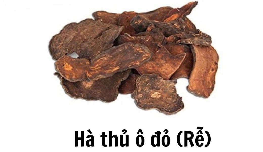 cay-thuoc-nam-bo-mau