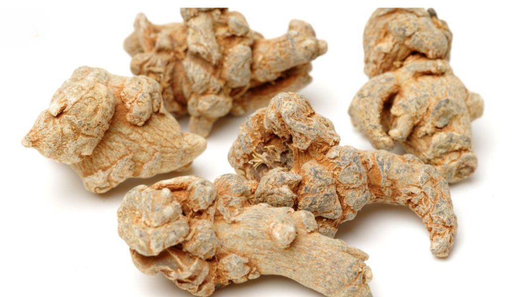 cay-thuoc-nam-bo-mau