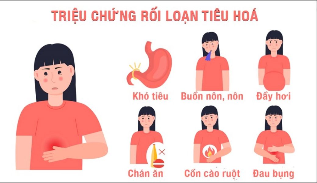 cay-thuoc-nam-chua-benh-roi-loan-tieu-hoa