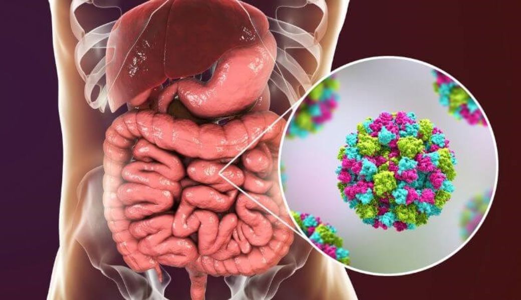 cay-thuoc-nam-chua-benh-roi-loan-tieu-hoa