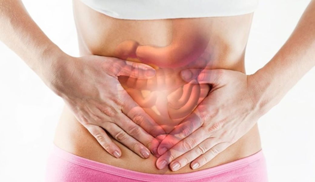 cay-thuoc-nam-chua-benh-roi-loan-tieu-hoa