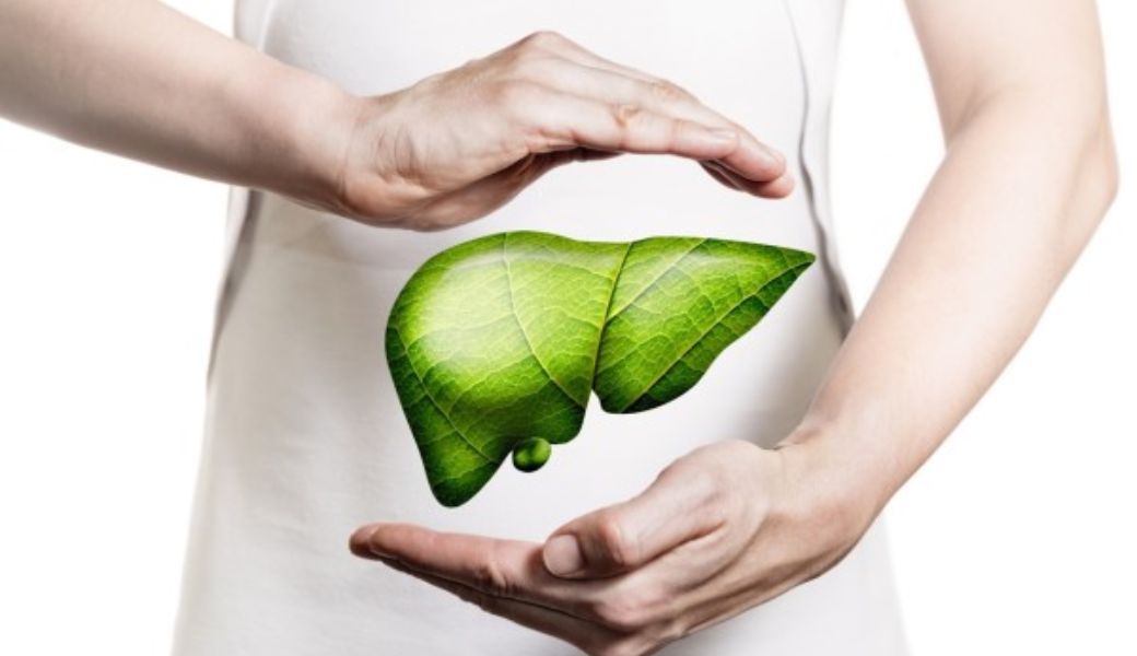 cay-thuoc-nam-mat-gan