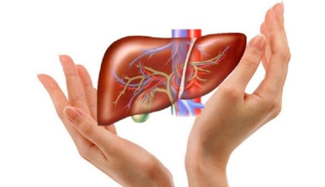 cay-thuoc-nam-mat-gan