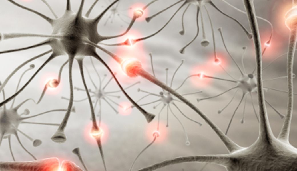 nhung-bai-thuoc-nam-chua-benh-dong-kinh