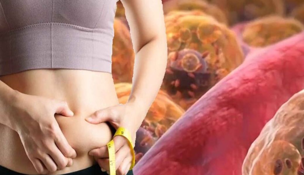 thuoc-nam-giam-mo-noi-tang