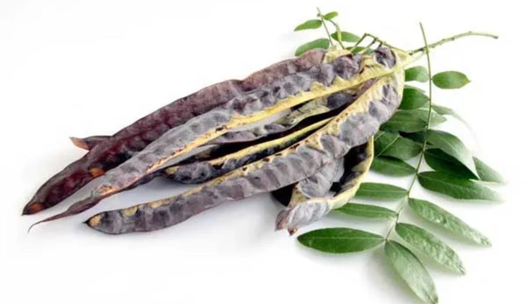 thuoc-nam-tri-hoi-nach