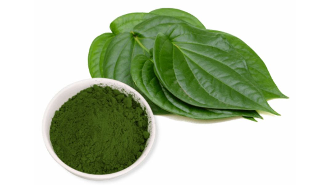 tri-benh-cham-bang-thuoc-nam