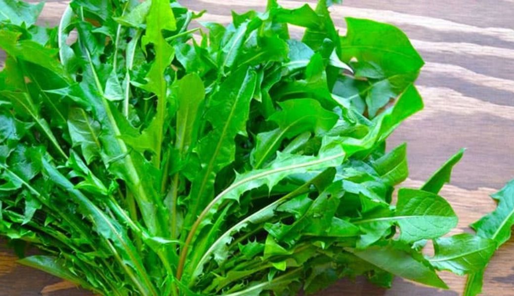 tri-benh-cham-bang-thuoc-nam