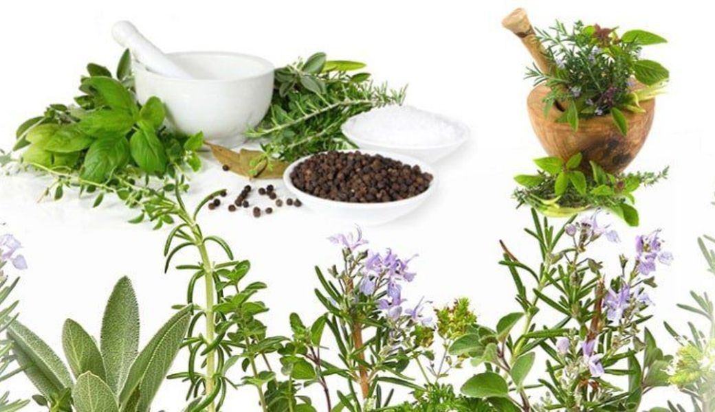 uong-thuoc-nam-co-hai-da-day-khong