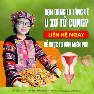 Thuốc nam giúp cân bằng nội tiết, ngăn tái phát, an toàn lâu dài