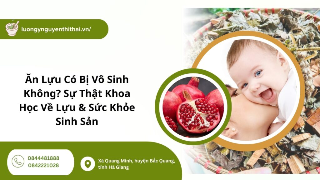 ăn lựu có bị vô sinh không