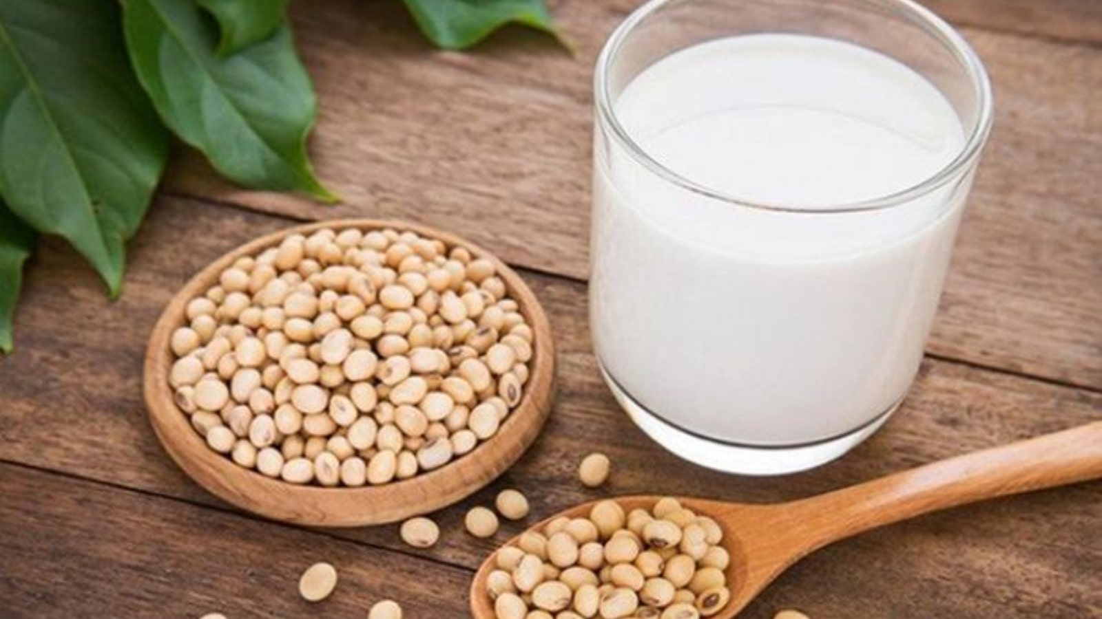 Tiêu Chí Chọn Sữa Đậu Nành Chất Lượng Và An Toàn