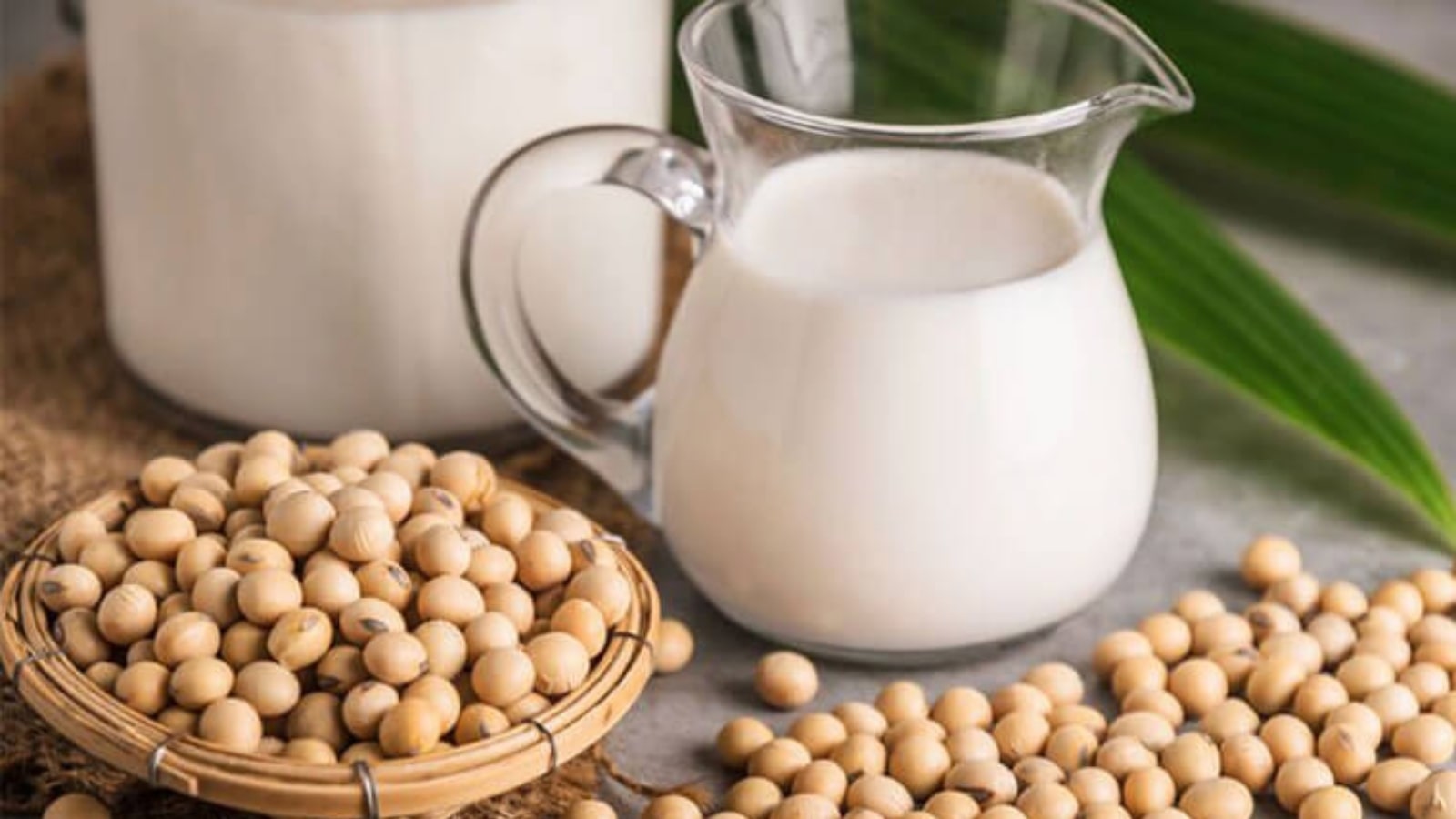 Phân tích thành phần isoflavone ảnh hưởng đến hệ sinh sản