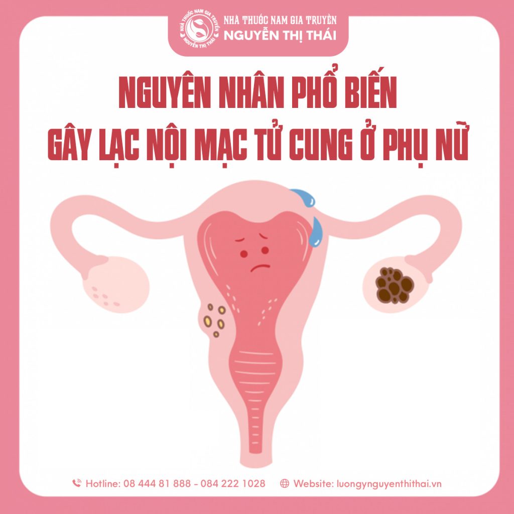 Rối loạn nội tiết, stress, viêm nhiễm – những nguyên nhân thầm lặng gây bệnh.