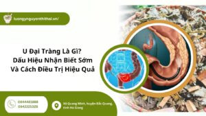 u đại tràng
