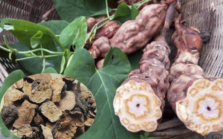 Kiêng Rau Quả Có Tính Lợi Tiểu Khi Dùng Thuốc Bổ