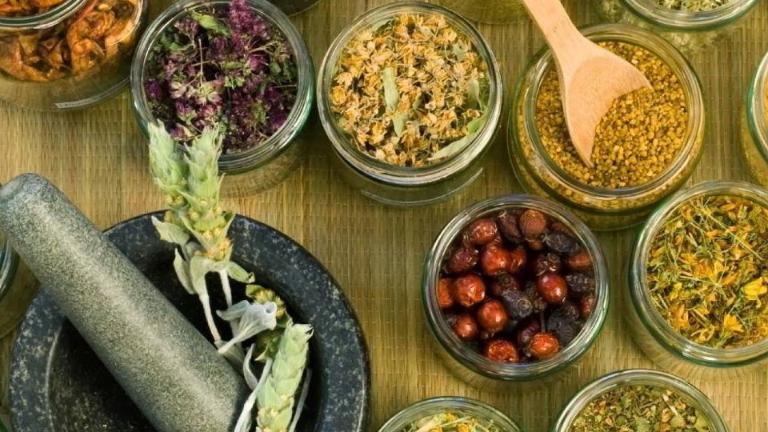 Bài thuốc đông y trị u vú