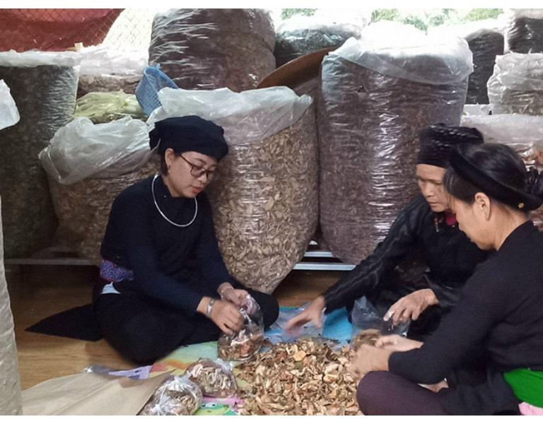 Lương y Nguyễn Thị Thái
