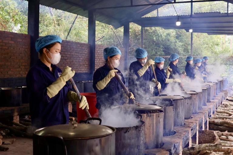 Thuốc nam hỗ trợ điều trị vô sinh hiếm muộn