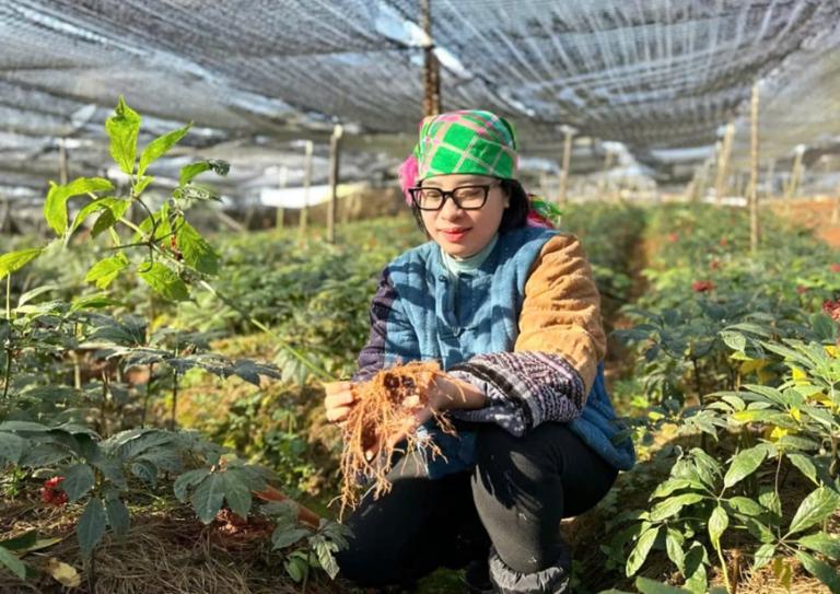 Thuốc hiếm muộn Lương y Nguyễn Thị Thái
